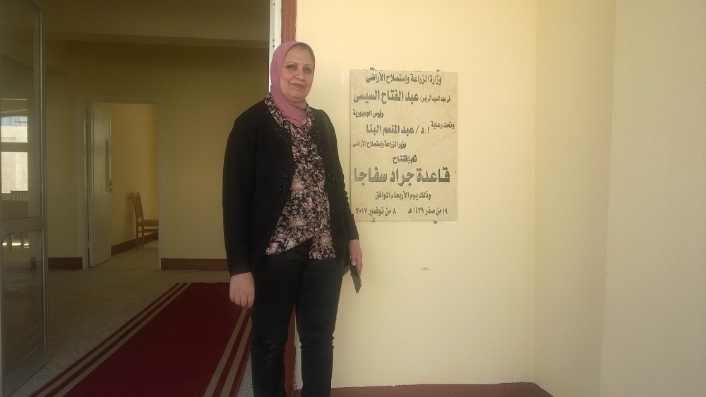 الدكتورة نجلاء بلابل رئيس الادارة المركزية للحجر الزراعى اثناء اففتاح قاعدة جراد ابو رماد على الحدود المصرية السودانية