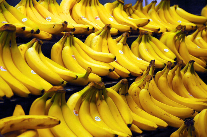جودة الموز اهم معيار لتصديره الى الخارج
