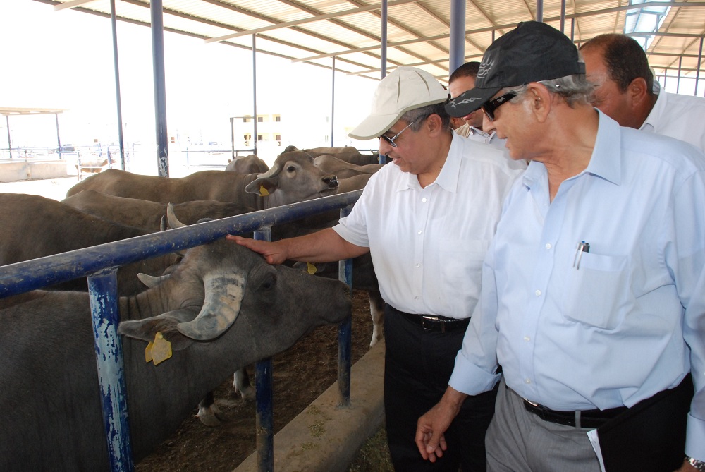 وزير الزراعة ومني محرز في مزرعة الانتاج الحيواني غرب المنيا