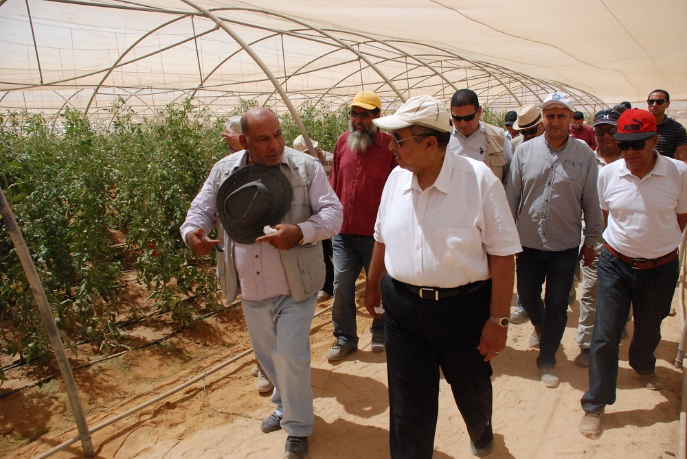 وزير الزراعة يتفقد الصوب الزراعية في غرب المنيا 1