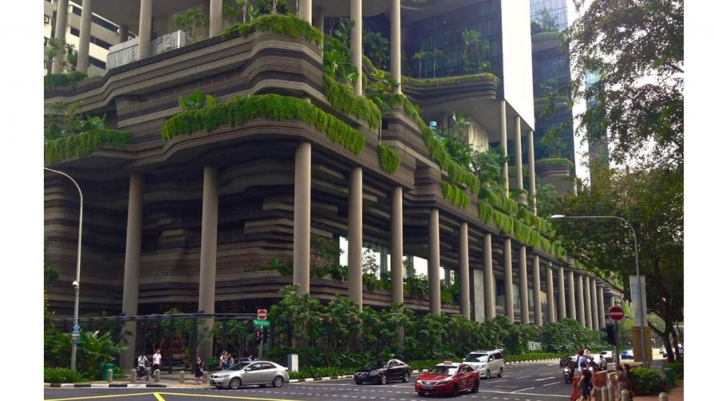 سنغافورة مدينة تحولت إلي حديقة