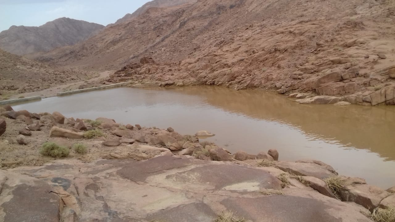 جنوب سيناء1