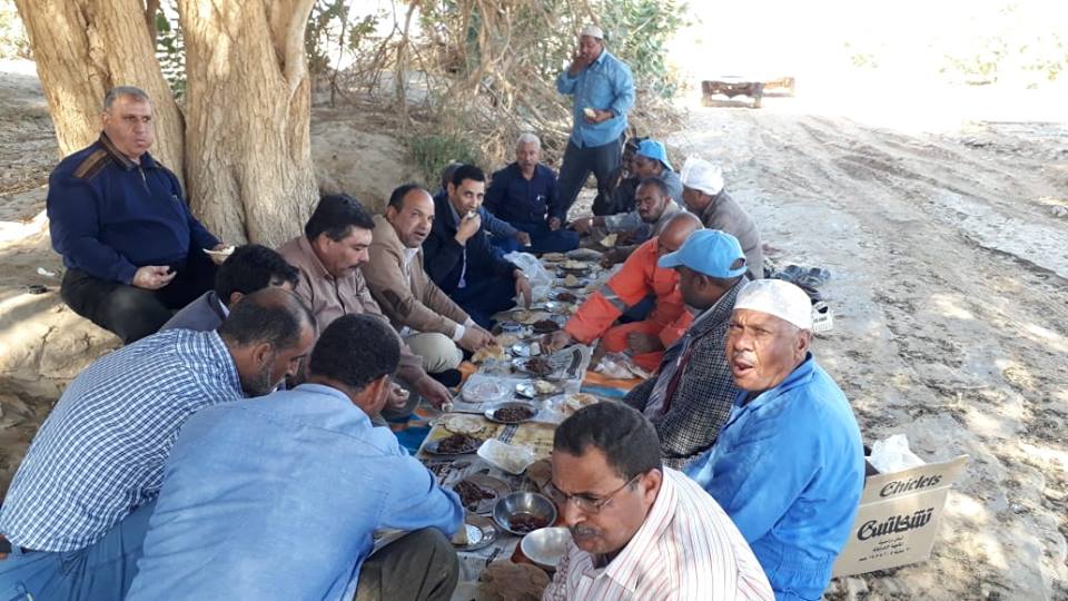 غداء العاملين في رصد الجراد الصحراوي