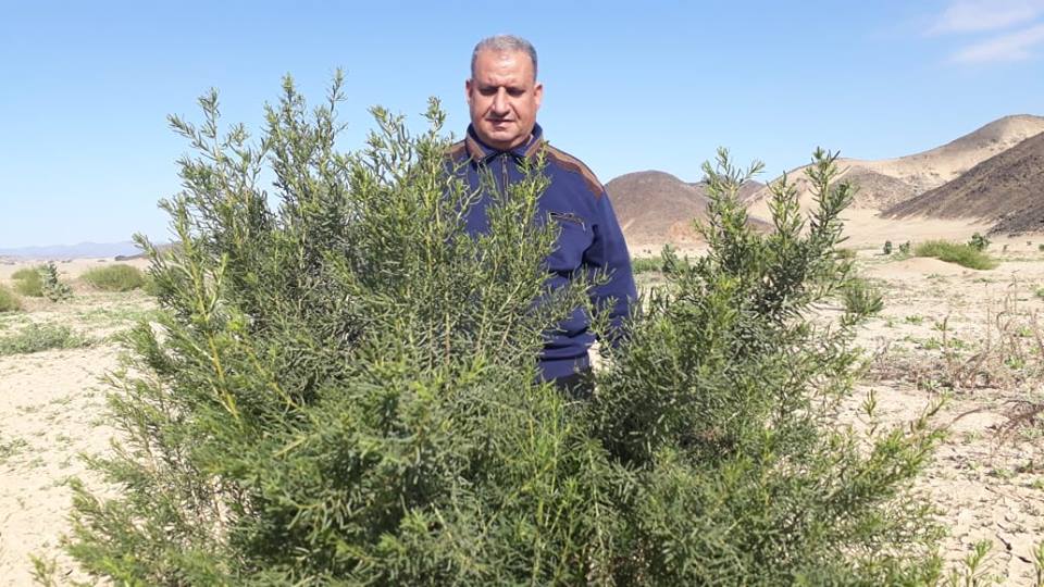 ماهر سويلم مدير زراعة البحر الاحمر خلال جولة تفقد مناطق الجراد