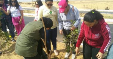 طلاب جامعة اسوان يزرعون الاشجار