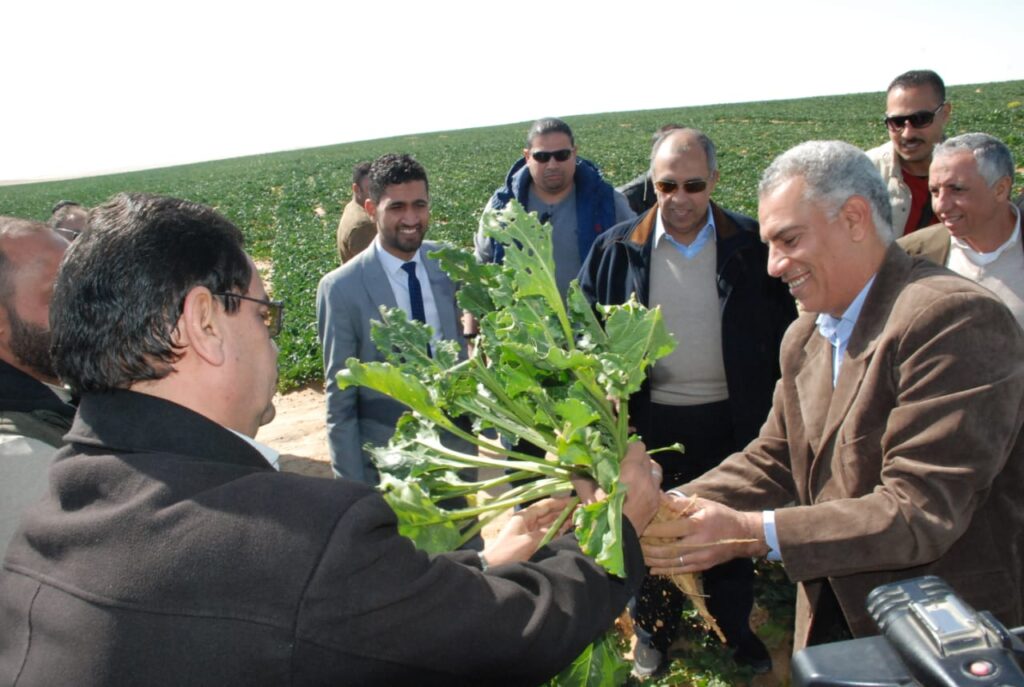 وزير الزراعة يتفقد زراعة البنجر في غرب المنيا scaled