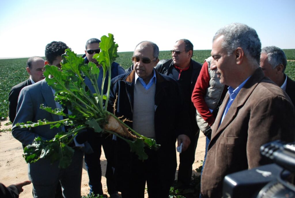 وزير الزراعة يتفقد زراعة بنجر السكر في غرب المنيا scaled