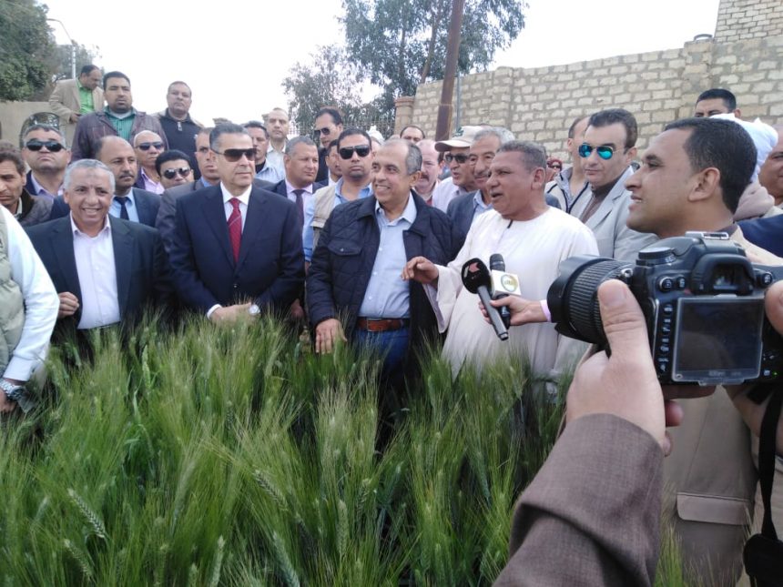 وزير الزراعة ومحافظ بني سويف يتفقدان تجميعة ارشادية لمحصول القمح