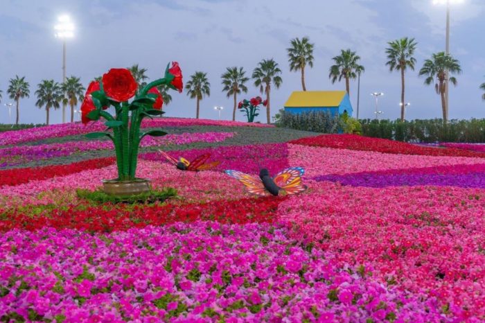 مهرجان الزهور فى مكة