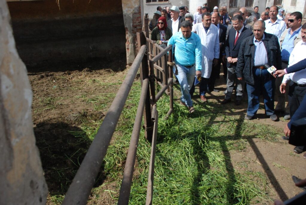وزير الزراعة يتفقد محطة الإنتاج الحيواني ببنى سويف scaled