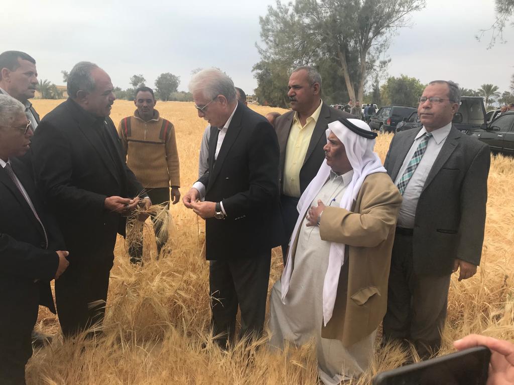 محافظ جنوب سيناء وتجربة زراعة القمح في راس سدر