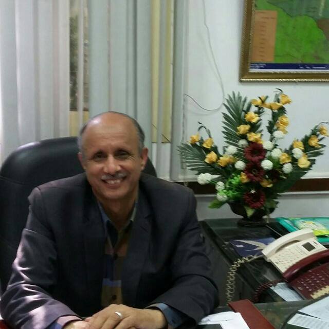 مهندس محمود السعدي