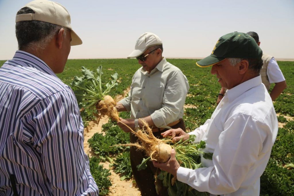 وزير الزراعة وبنجر السكر في مشروع غرب المنيا