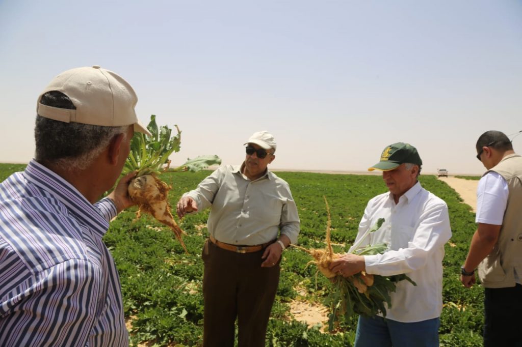 الزراعة وبنجر مشروع غرب المنيا