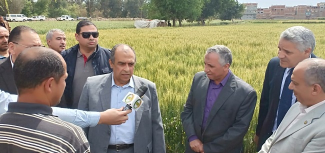وزير الزراعة يطمئن على محصولي القمح والبصل بمحافظة الشرقية
