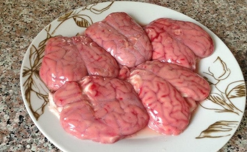 وجبات مخ الحيوانات