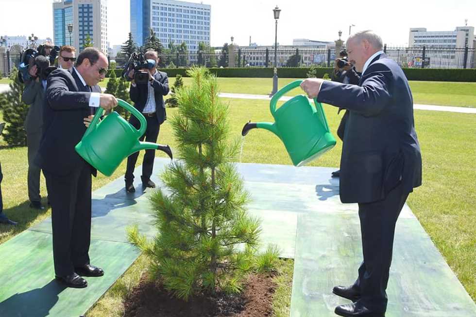 الرئيس يزرع شجرة في حديقة قصر الرئاسة في بيلا روسيا 1