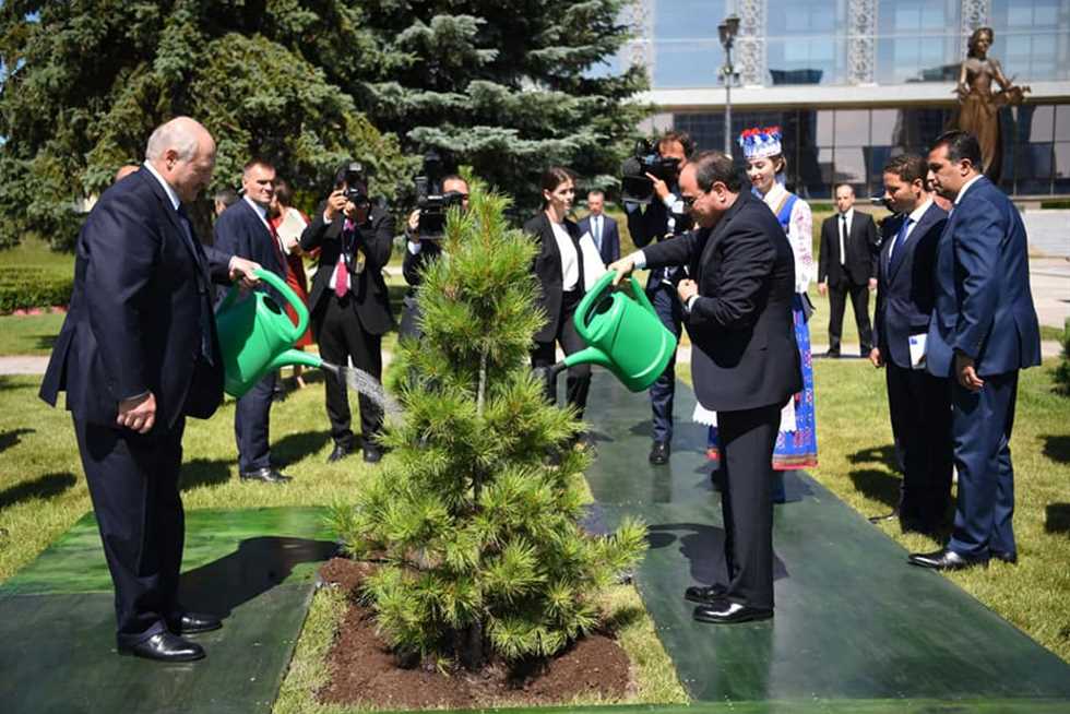 الرئيس يزرع شجرة في حديقة قصر الرئاسة في بيلا روسيا 2