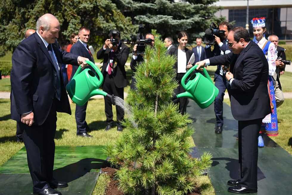 الرئيس يزرع شجرة في حديقة قصر الرئاسة في بيلا روسيا 3