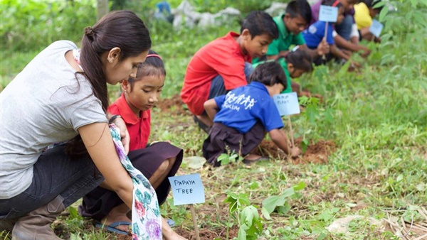 المدراس يزرعون الأشجار في الفلبين