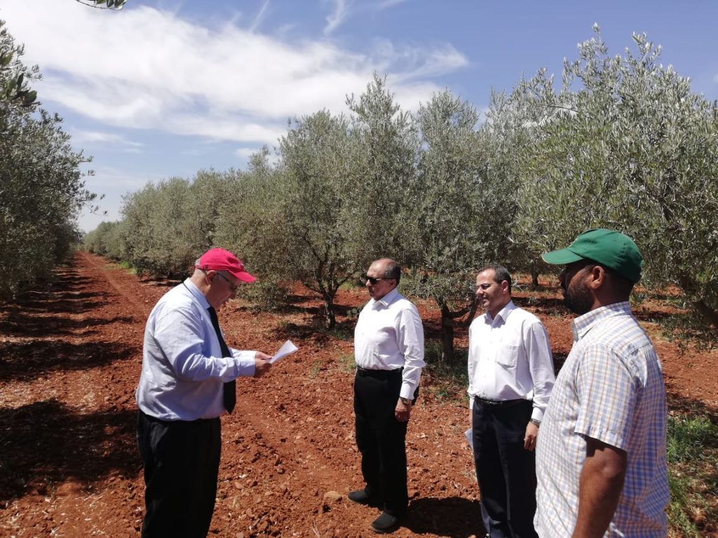 وزير الزراعة خلال زيارته مزرعة زيتون في المغرب
