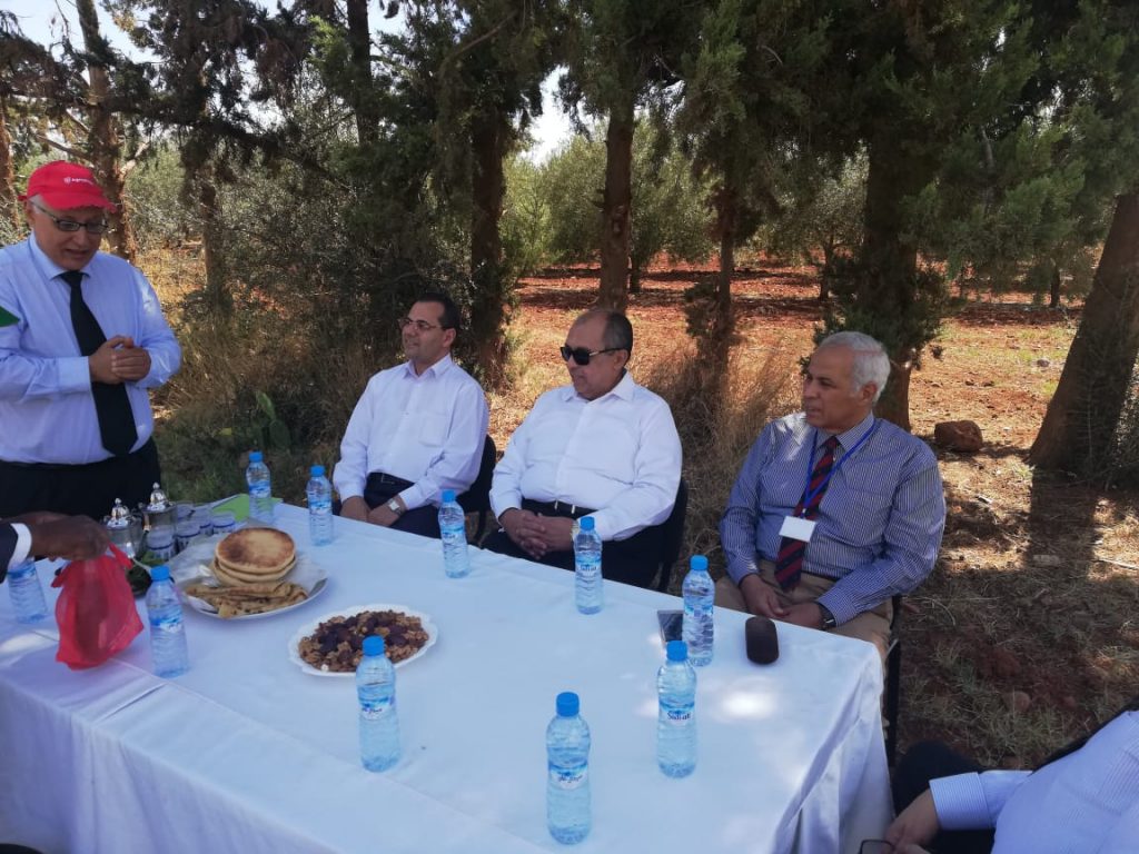 وزير الزراعة يتفقد مزرعة زيتون في المغرب