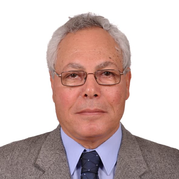 محمد العراقي أستاذ الإقتصاد الزراعي كلية الزراعة جامعة عين شمس