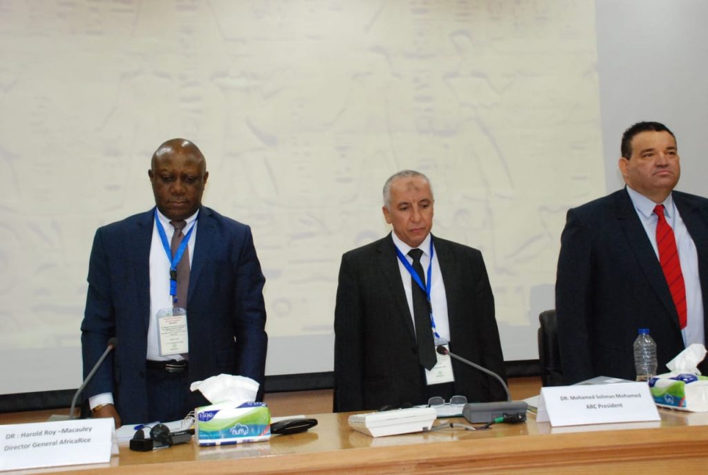 محمد سليمان وعلاء خليل خلال إفتتاح جلسة مؤتمر الارز في أفريقيا