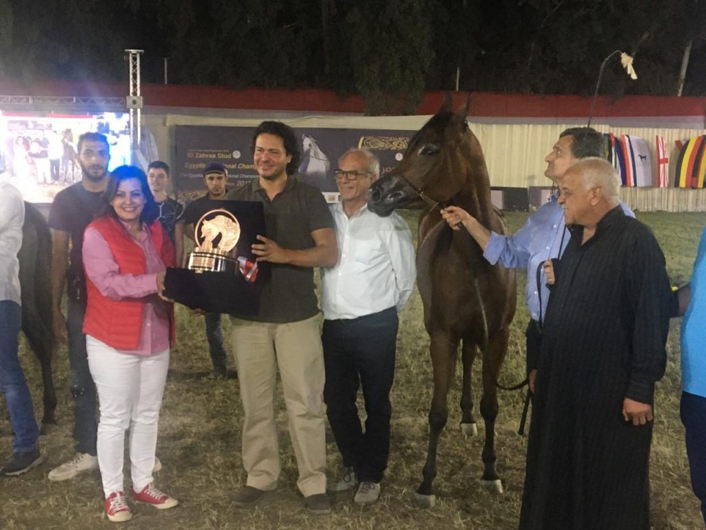 نائب وزير الزراعة تكرم الفائزين في بطولة الزهراء لجمال الخيول العربية الأصيلة