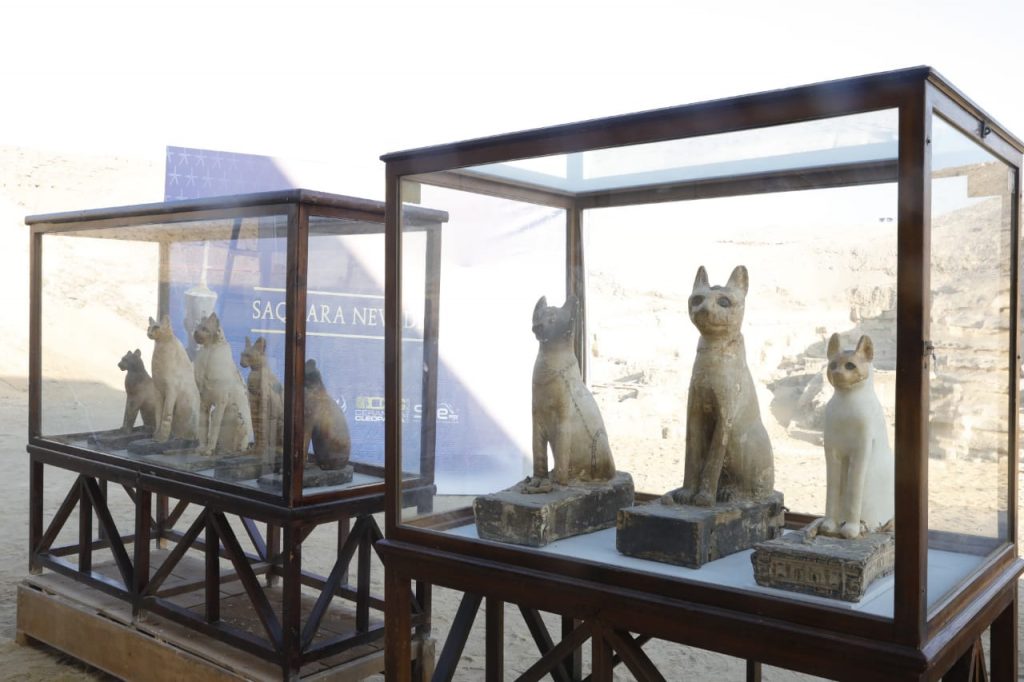 وزير الآثار يعلن عن كشوف أثرية لمقابر القطط والكلاب 14