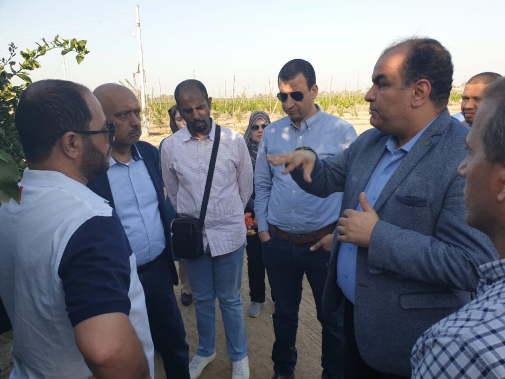 وفد من وزارة الزراعة السعودية خلال زيارته المزارع المصرية