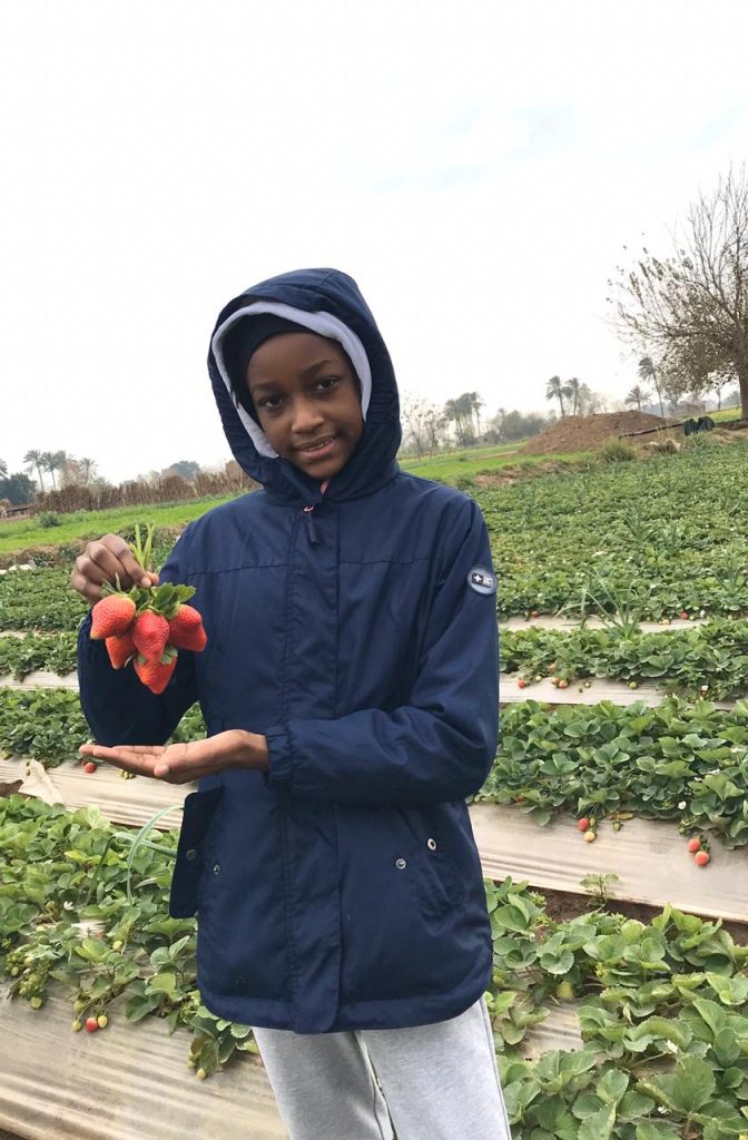 طفل المانيا يزور مزرعة فراولة scaled