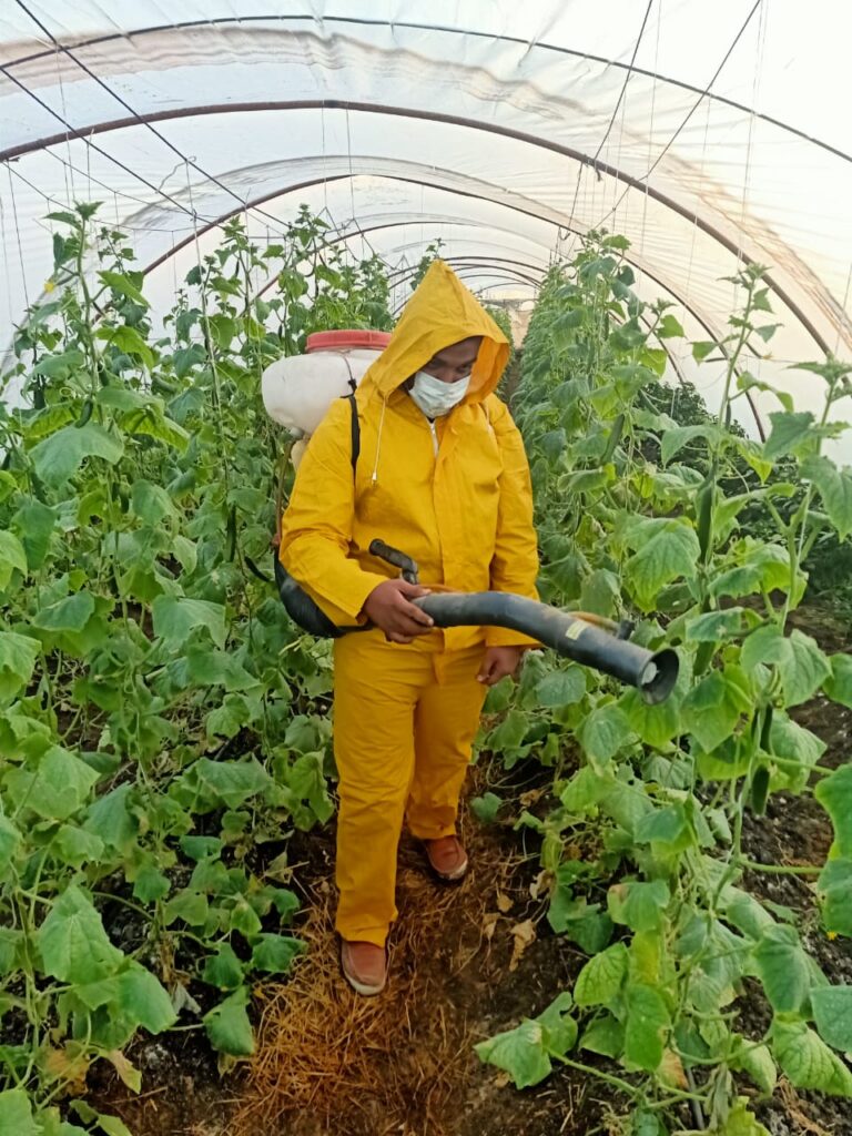 مطبقي المبيدات في الصوب الزراعية 8 scaled