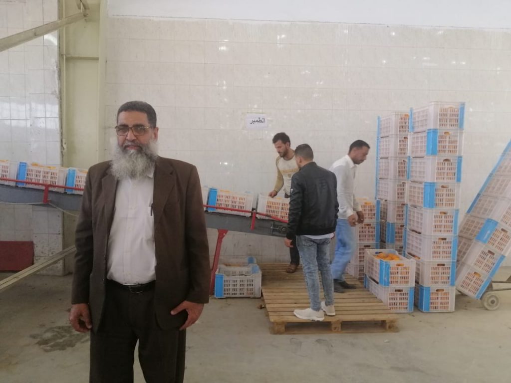 إبراهيم الدسوقي رئيس الزراعة المحمية في محطة الفرز والتعبئة بالنوبارية scaled