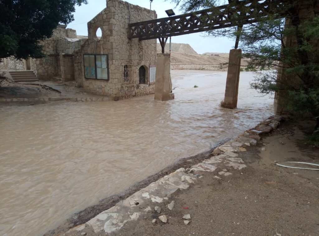مياه الأمطار في محمية وادي دجلة 1 scaled