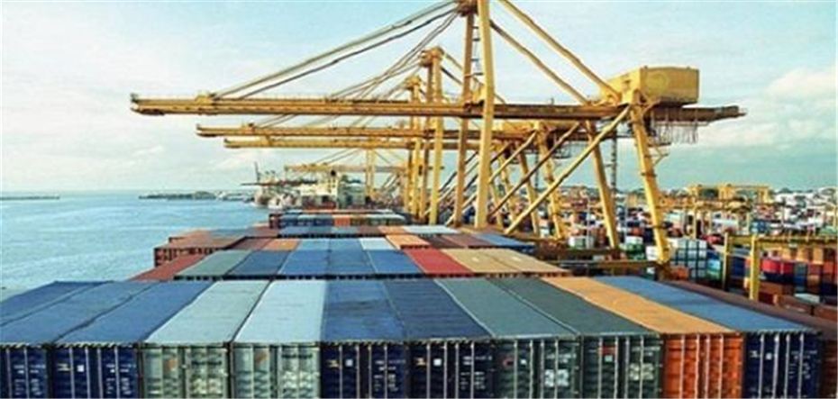 حركة التجارة بين مصر والبرازيل الصادرات صادرات زراعية