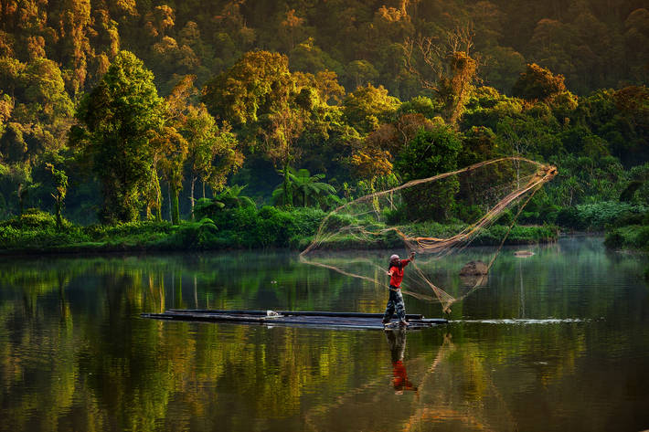 صيد السمك في بحيرة في غابات اندونيسيا