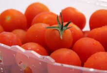 تخزين الطماطم في الثلاجة