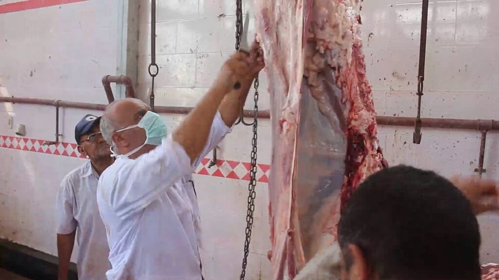 اللحوم في المجازر scaled