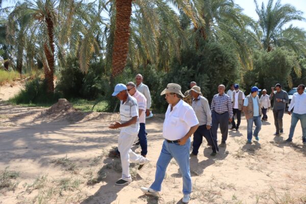 مشترك من بحوث الصحراء والفاو يتفقد المشروعات الزراعية في الوادي الجديد 3 e1603971349165