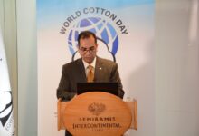 الدكتور محمد نجم نائب رئيس الاتحاد العالمي لبحوث القطن