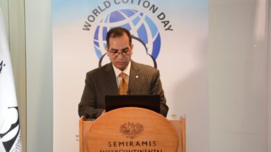 الدكتور محمد نجم نائب رئيس الاتحاد العالمي لبحوث القطن