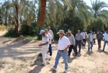 وفد مشترك من بحوث الصحراء والفاو يتفقد المشروعات الزراعية في الوادي الجديد 3