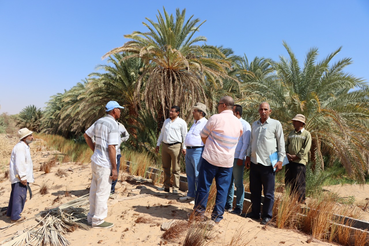 وفد مشترك من بحوث الصحراء والفاو يتفقد المشروعات الزراعية في الوادي الجديد 5