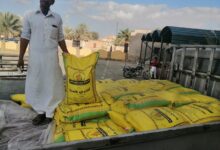 تقاوي القمح علي مزارعي مطروح