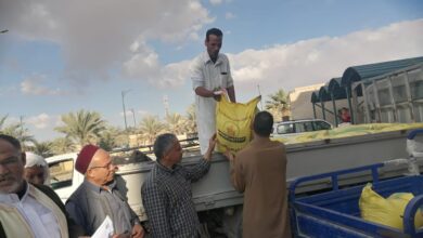 توزيع تقاوي القمح مجانا علي مزارعي مطروح