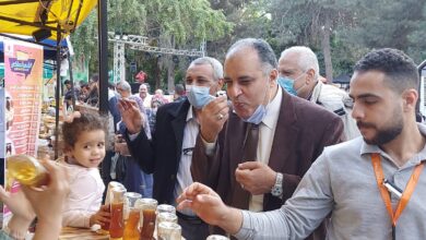 علاء عزوز في مهرجان عسل النحل المصري 9