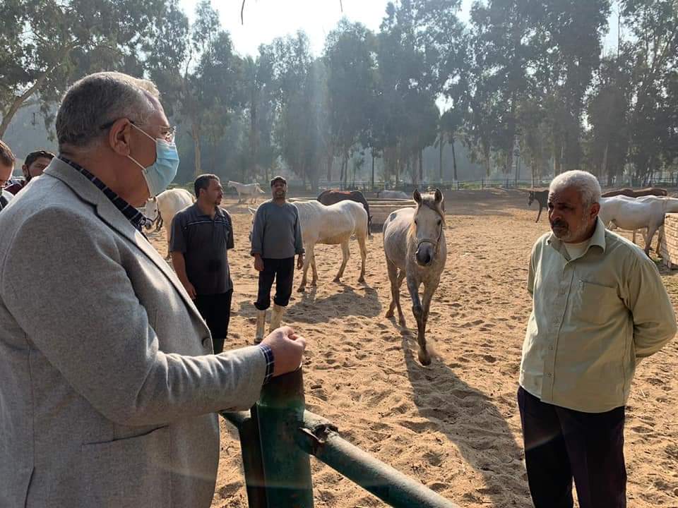 وزير الزراعة يتفقد محطة الزهراء للخيول العربية الأصيلة لمتابعة تطويرها ورفع كفاءتها