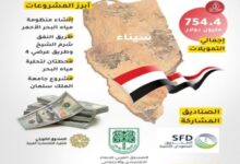 الإستثمارات العربية في سيناء 1