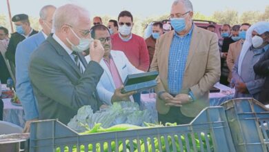 وزير الزراعة يتفقد إنتاج الزيتون في جنوب سيناء